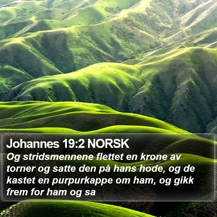 Johannes 19:2 NORSK Bible Study