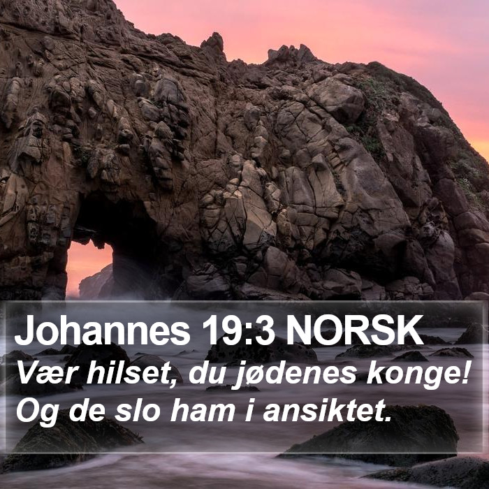 Johannes 19:3 NORSK Bible Study