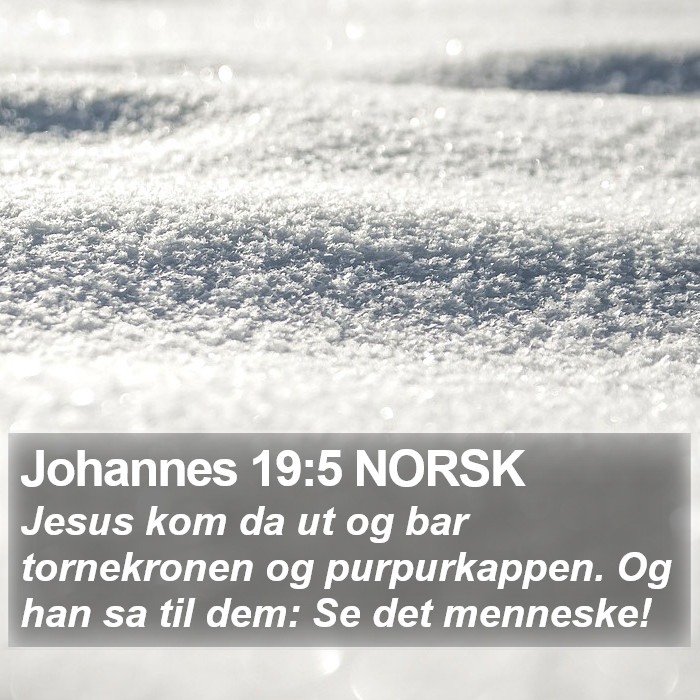 Johannes 19:5 NORSK Bible Study
