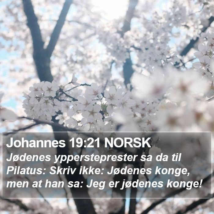 Johannes 19:21 NORSK Bible Study