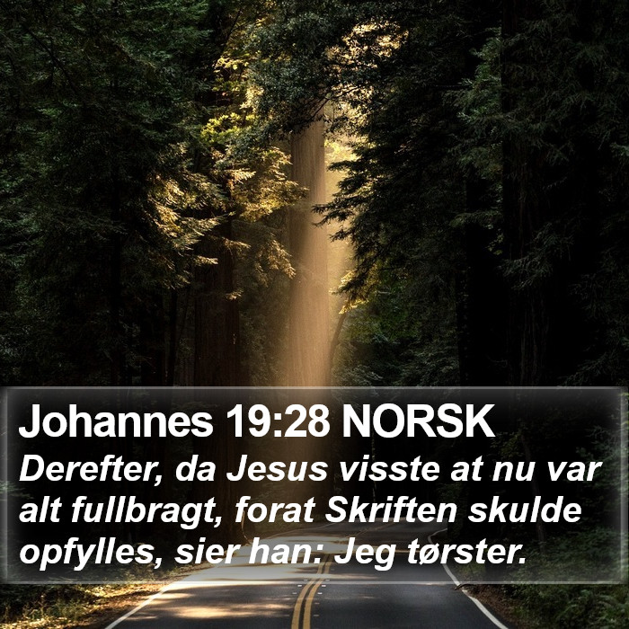 Johannes 19:28 NORSK Bible Study