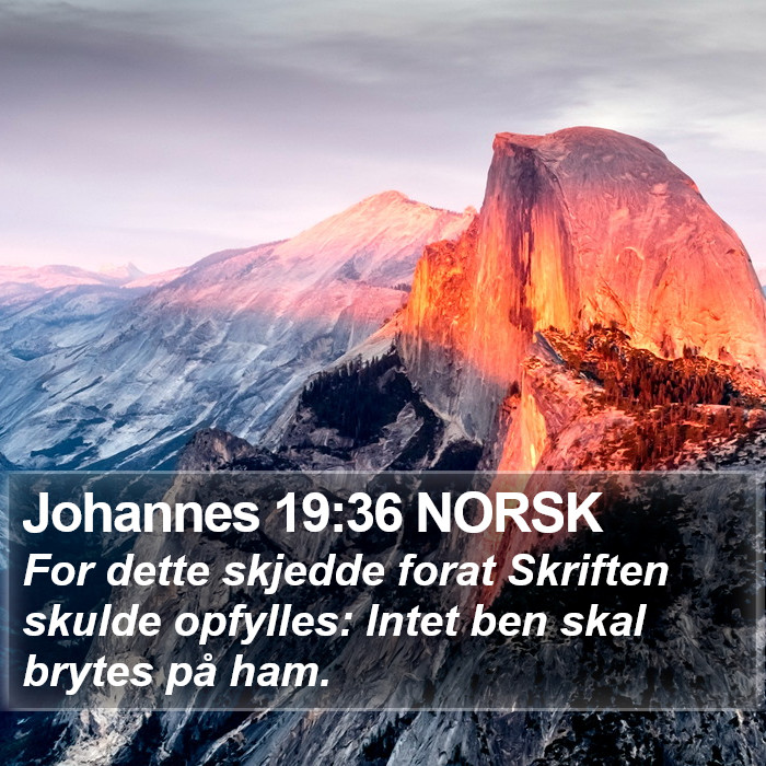 Johannes 19:36 NORSK Bible Study