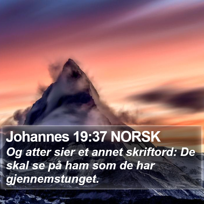 Johannes 19:37 NORSK Bible Study