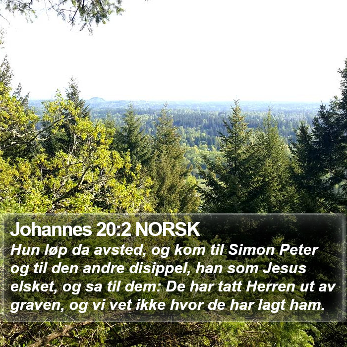 Johannes 20:2 NORSK Bible Study