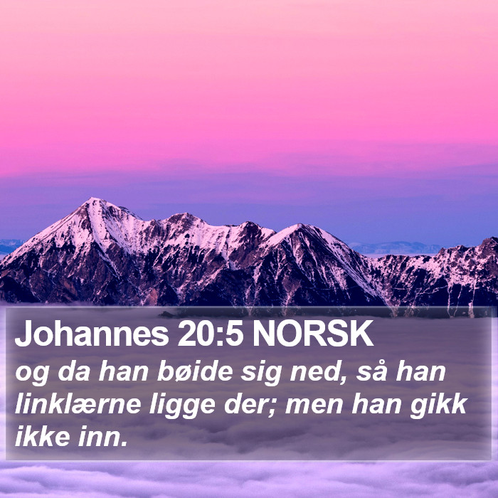 Johannes 20:5 NORSK Bible Study