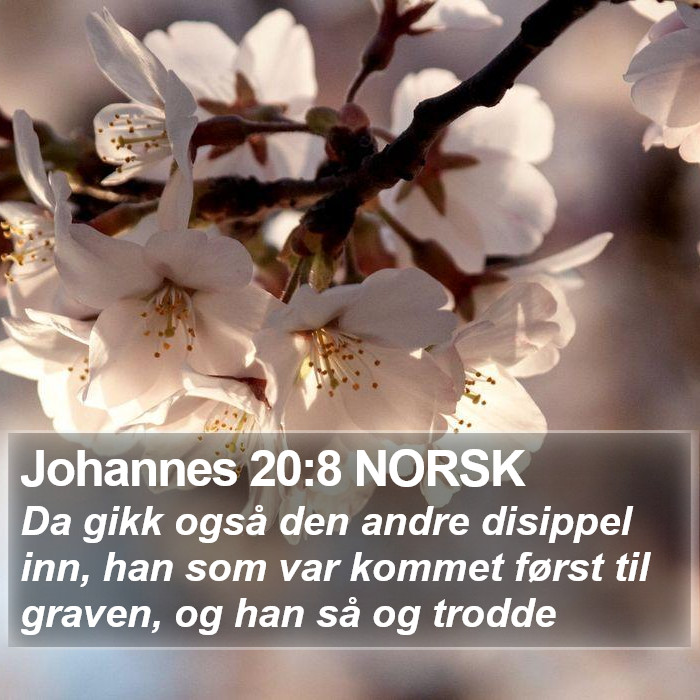 Johannes 20:8 NORSK Bible Study