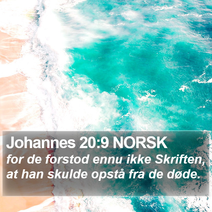 Johannes 20:9 NORSK Bible Study