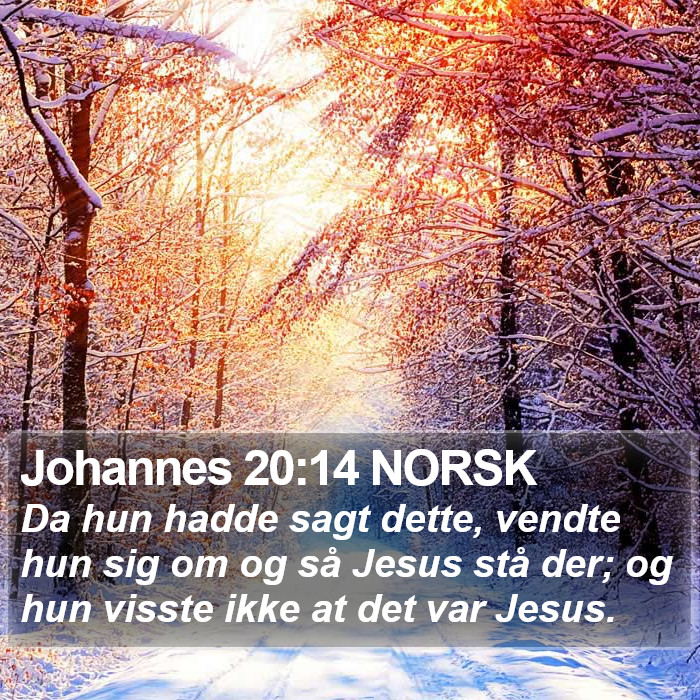 Johannes 20:14 NORSK Bible Study
