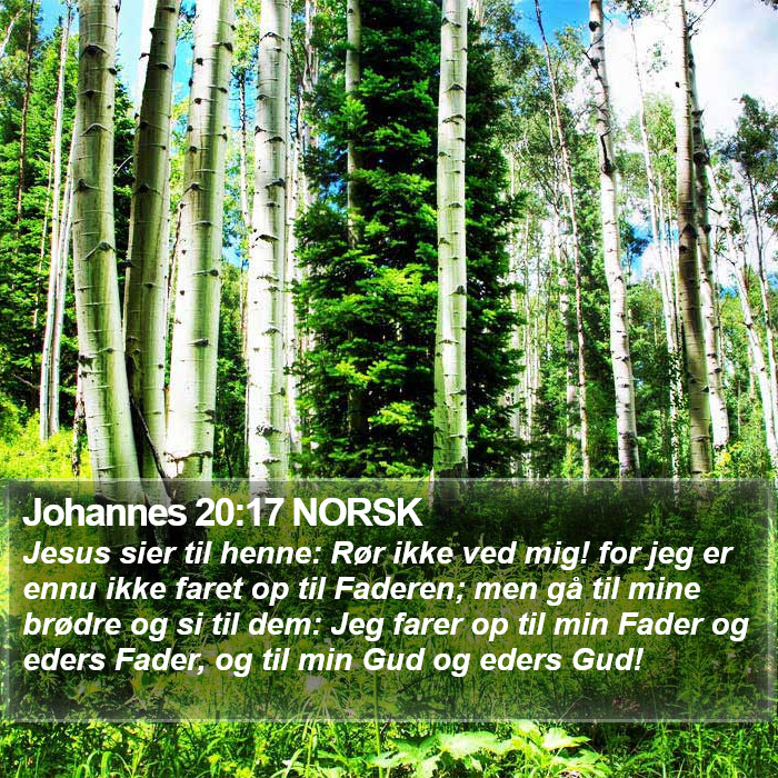 Johannes 20:17 NORSK Bible Study