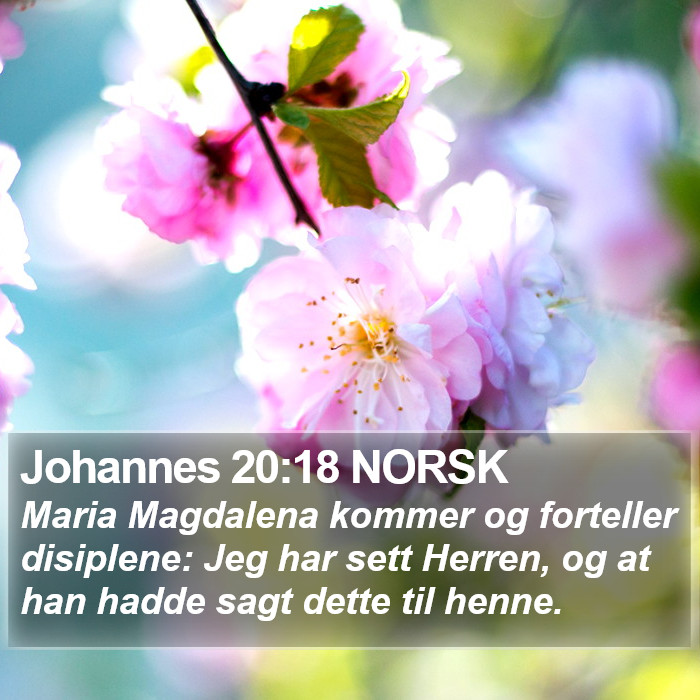 Johannes 20:18 NORSK Bible Study