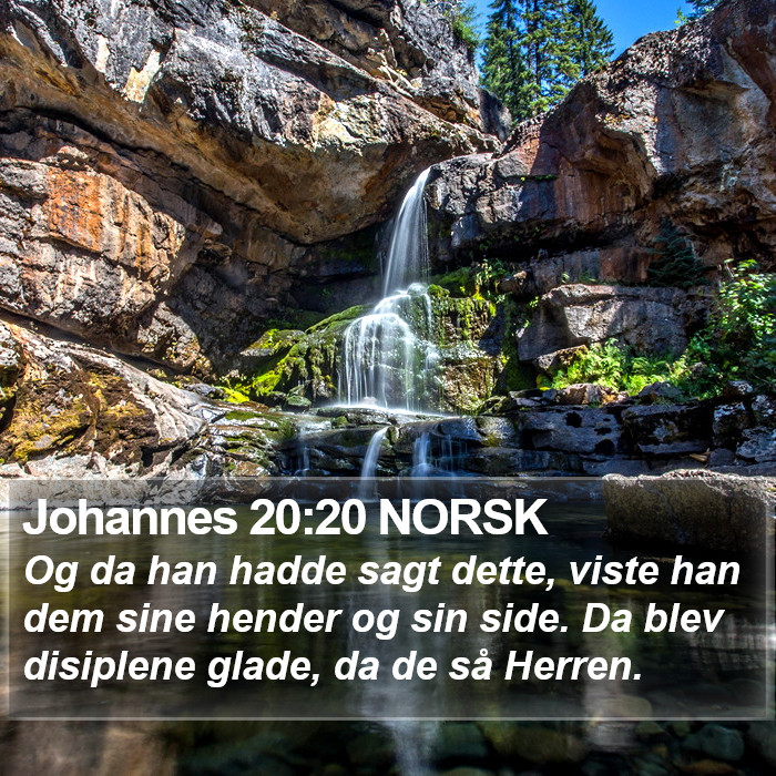Johannes 20:20 NORSK Bible Study