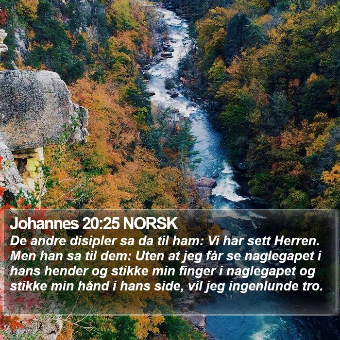 Johannes 20:25 NORSK Bible Study