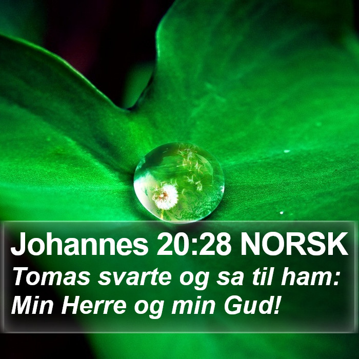 Johannes 20:28 NORSK Bible Study