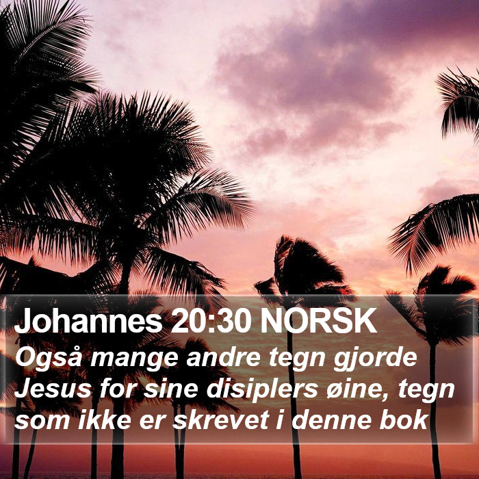 Johannes 20:30 NORSK Bible Study
