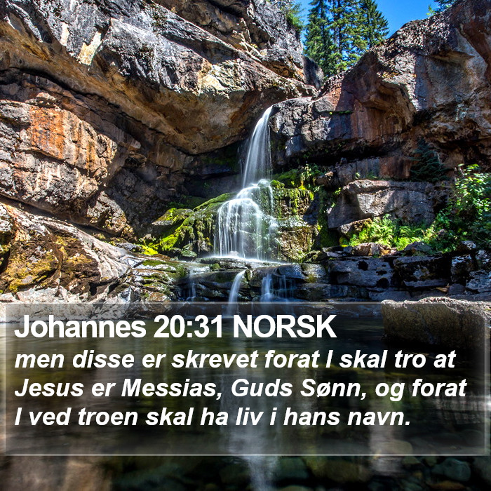 Johannes 20:31 NORSK Bible Study