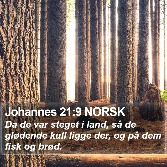 Johannes 21:9 NORSK Bible Study