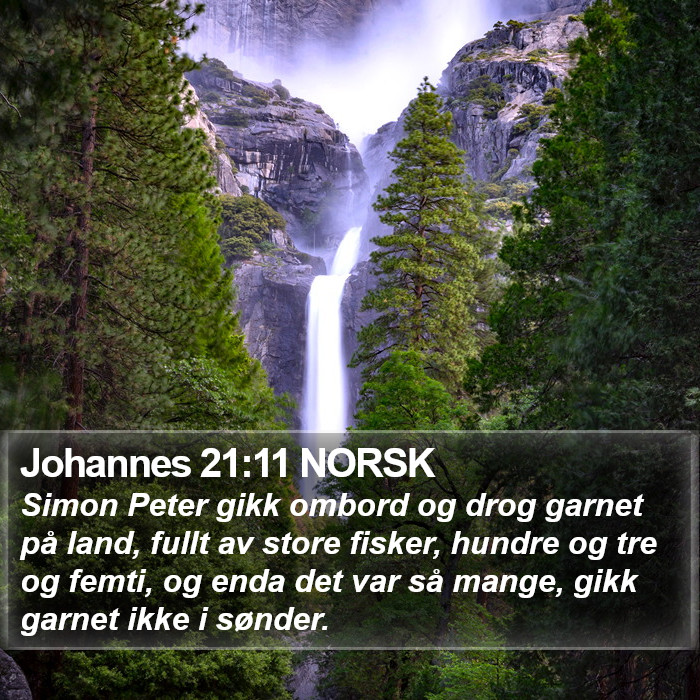 Johannes 21:11 NORSK Bible Study