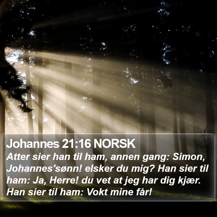 Johannes 21:16 NORSK Bible Study