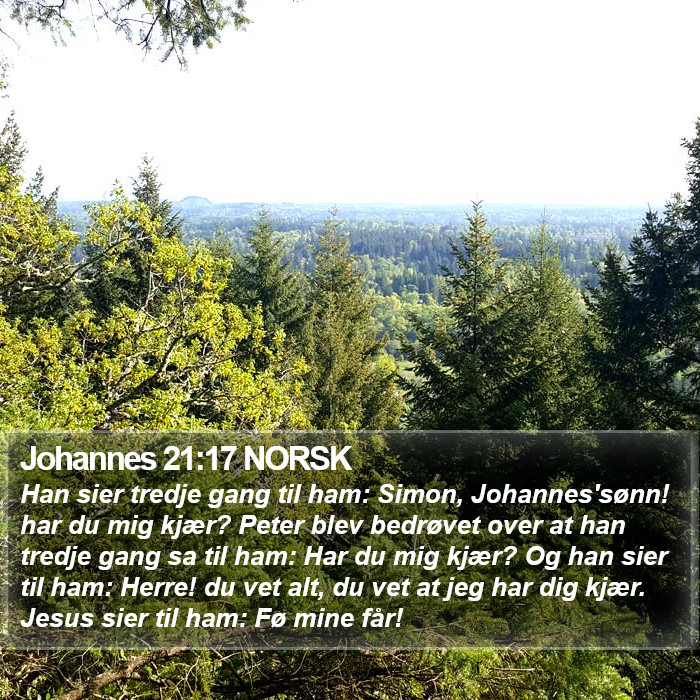 Johannes 21:17 NORSK Bible Study