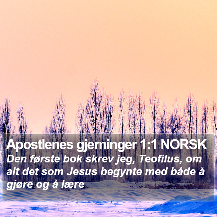 Apostlenes gjerninger 1:1 NORSK Bible Study