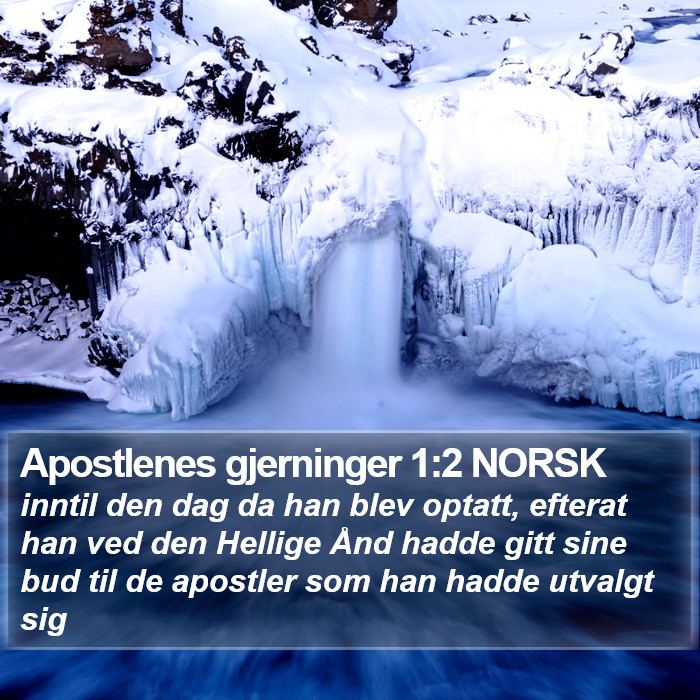 Apostlenes gjerninger 1:2 NORSK Bible Study