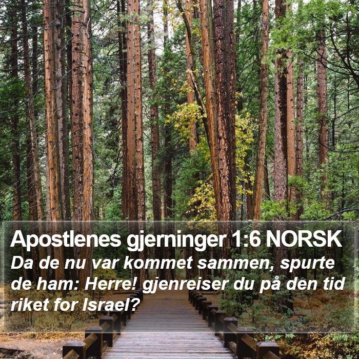 Apostlenes gjerninger 1:6 NORSK Bible Study