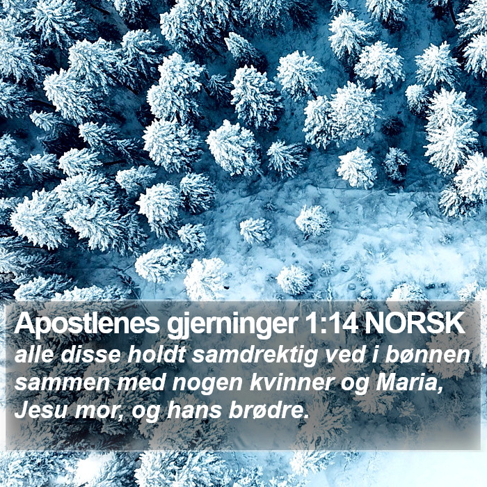 Apostlenes gjerninger 1:14 NORSK Bible Study