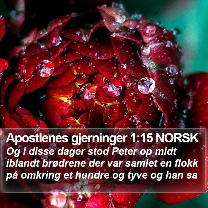 Apostlenes gjerninger 1:15 NORSK Bible Study