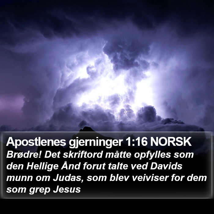 Apostlenes gjerninger 1:16 NORSK Bible Study