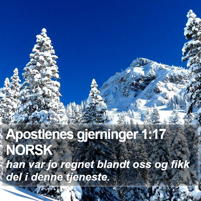 Apostlenes gjerninger 1:17 NORSK Bible Study