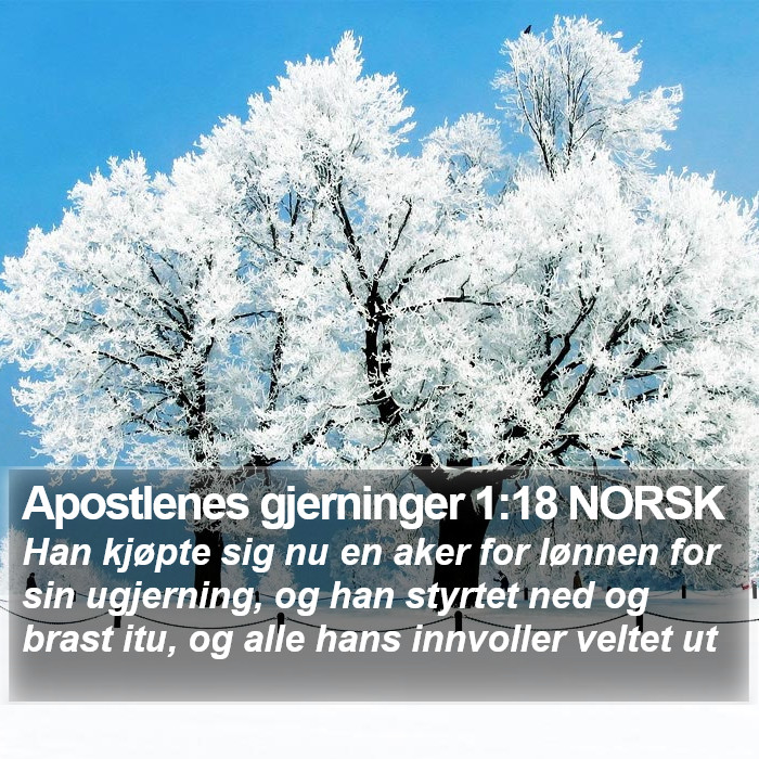 Apostlenes gjerninger 1:18 NORSK Bible Study