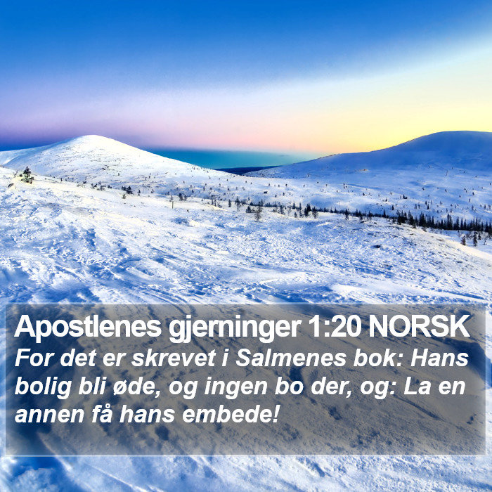 Apostlenes gjerninger 1:20 NORSK Bible Study