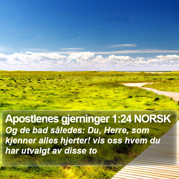 Apostlenes gjerninger 1:24 NORSK Bible Study