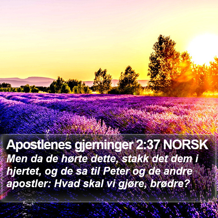 Apostlenes gjerninger 2:37 NORSK Bible Study