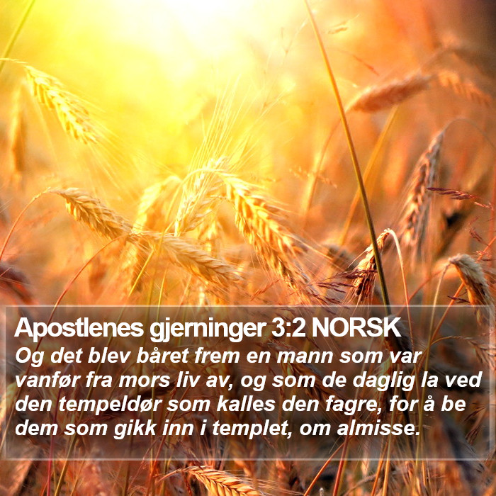 Apostlenes gjerninger 3:2 NORSK Bible Study