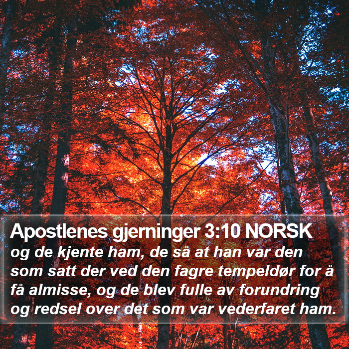Apostlenes gjerninger 3:10 NORSK Bible Study