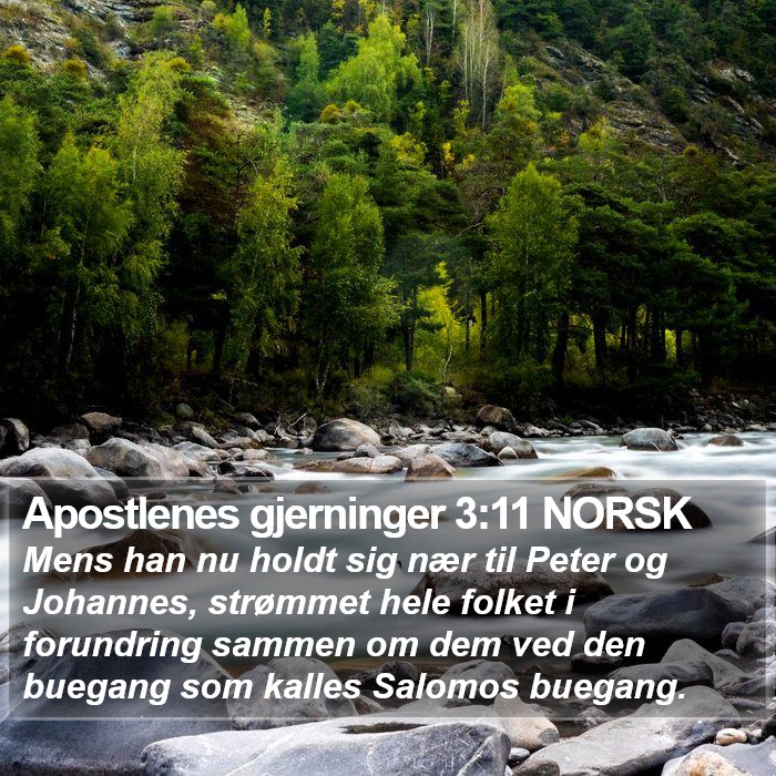 Apostlenes gjerninger 3:11 NORSK Bible Study