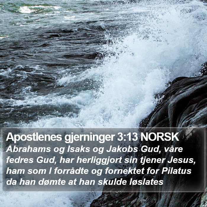 Apostlenes gjerninger 3:13 NORSK Bible Study