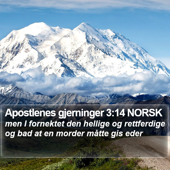 Apostlenes gjerninger 3:14 NORSK Bible Study