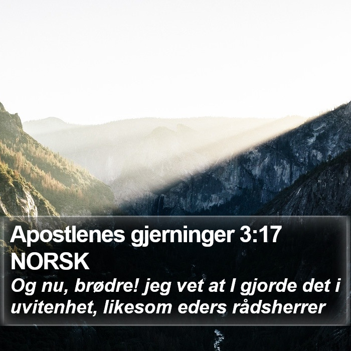 Apostlenes gjerninger 3:17 NORSK Bible Study