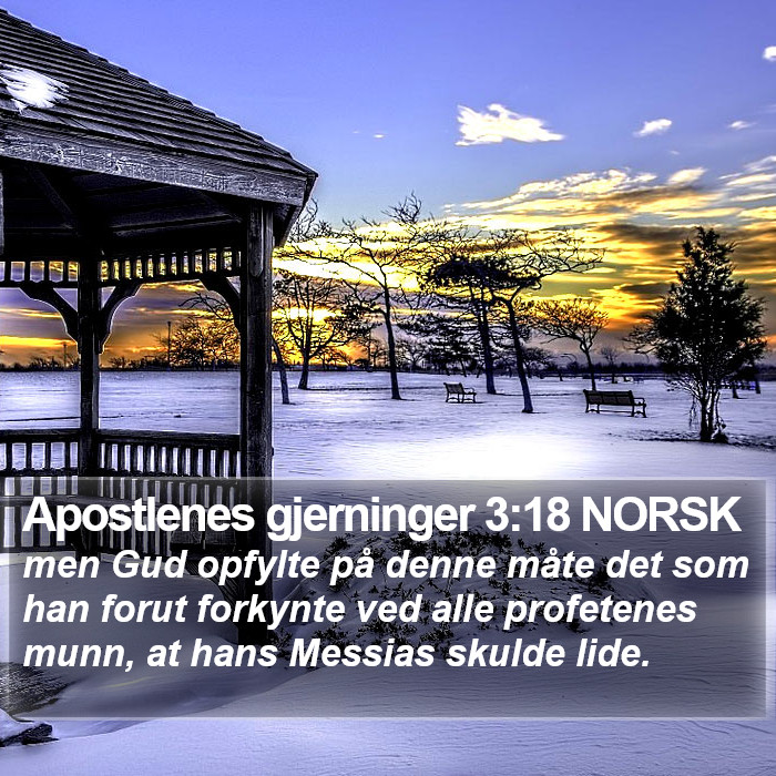 Apostlenes gjerninger 3:18 NORSK Bible Study