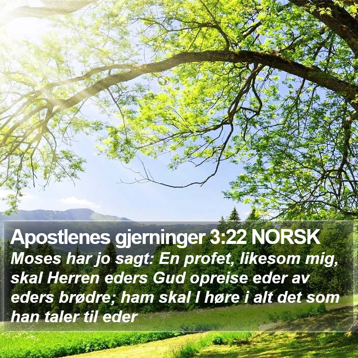 Apostlenes gjerninger 3:22 NORSK Bible Study