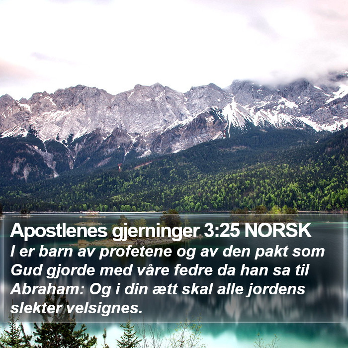 Apostlenes gjerninger 3:25 NORSK Bible Study