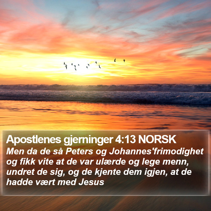 Apostlenes gjerninger 4:13 NORSK Bible Study