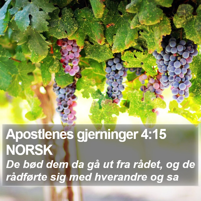 Apostlenes gjerninger 4:15 NORSK Bible Study