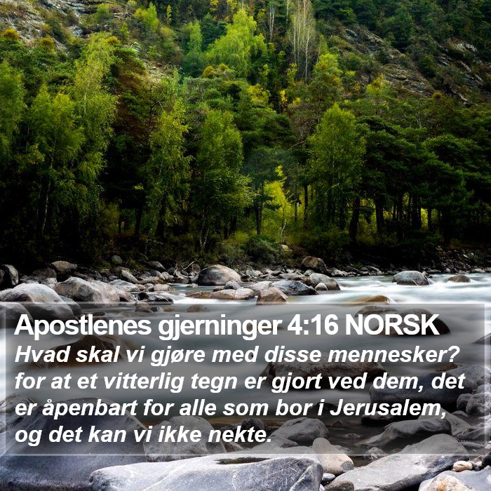Apostlenes gjerninger 4:16 NORSK Bible Study