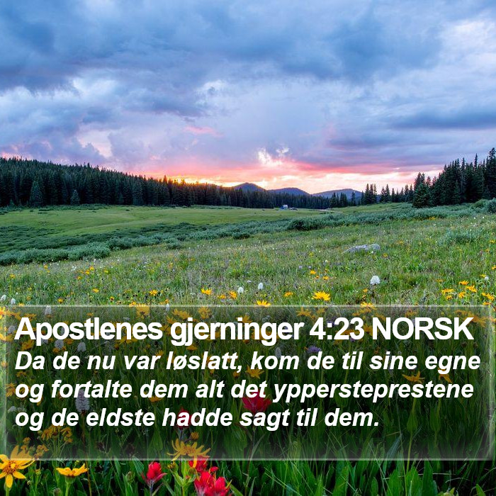 Apostlenes gjerninger 4:23 NORSK Bible Study