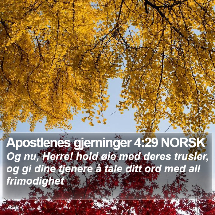 Apostlenes gjerninger 4:29 NORSK Bible Study