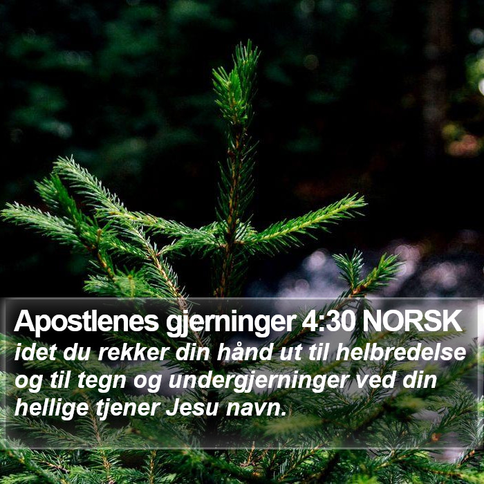 Apostlenes gjerninger 4:30 NORSK Bible Study
