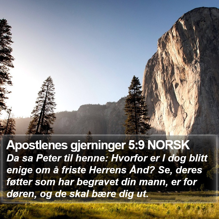 Apostlenes gjerninger 5:9 NORSK Bible Study